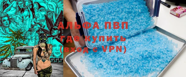 дмт Белокуриха
