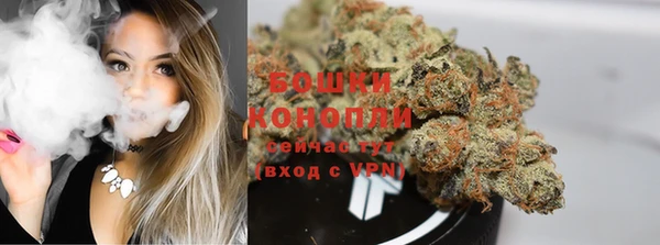 дмт Белокуриха