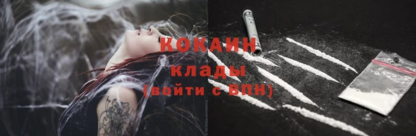 дмт Белокуриха