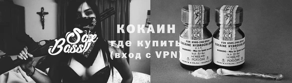 дмт Белокуриха