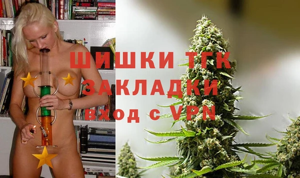 mdpv Переславль-Залесский