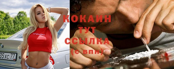дмт Белокуриха