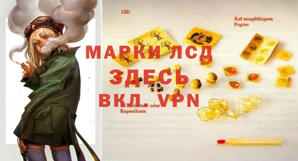 дмт Белокуриха